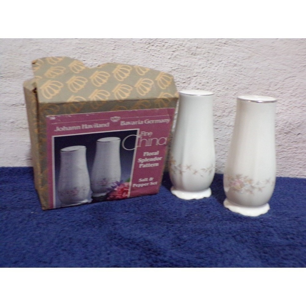 Johann Haviland Bavaria Germany Floral Splendor Dinnerware Salt & Pepper  Boxed